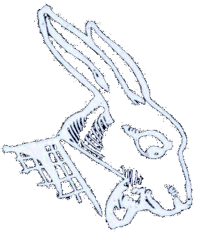 Profil ton sur ton du Lapin Blanc d'Alice aux Pays des Merveilles